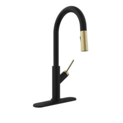 Belanger Svelta Black Gold 1-Handle Pull-Down Kitchen Faucet With Deck Plate