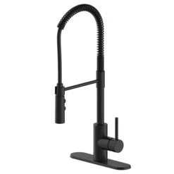 Project Source Single-Handle Zen Kitchen Faucet - Brass/Zinc - Matte Black