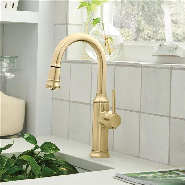 Blanco Empressa Satin Gold 1-Handle Deck Mount Residential Bar And Kitchen Faucet 5 Blanco Empressa Satin Gold 1-Handle Deck Mount Residential Bar And Kitchen Faucet - Image 5