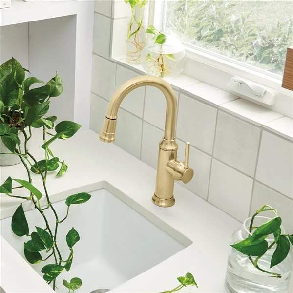Blanco Empressa Satin Gold 1-Handle Deck Mount Residential Bar And Kitchen Faucet 1 Blanco Empressa Satin Gold 1-Handle Deck Mount Residential Bar And Kitchen Faucet