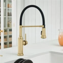 Blanco Empressa Satin Gold 1-Handle Deck Mount Pull-Down Residential Kitchen Faucet 9 Blanco Empressa Satin Gold 1-Handle Deck Mount Pull-Down Residential Kitchen Faucet -Alliedbas Shop 330992838 AlternateImage1 l