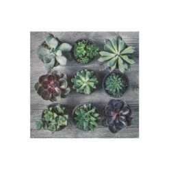 IH Casa Decor 20-Pack 3-Ply Paper Napkins (Potted Succulents) - Set Of 6