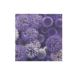 IH Casa Decor 20-Pack 3-Ply Paper Napkins (Global Thistle) - Set Of 6