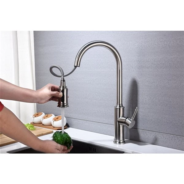 WELLFOR 1-Handle Deck Mount Pull-Out Kitchen Faucet In Brushed Nickel 2 WELLFOR 1-Handle Deck Mount Pull-Out Kitchen Faucet In Brushed Nickel - Image 2