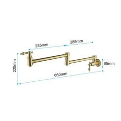 WELLFOR Brushed Gold 2-Handle Wall Mount Pot Filler Kitchen Faucet -Alliedbas Shop 331024990 AlternateImage1 l
