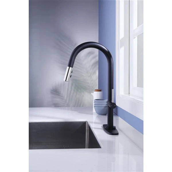 Westmount Waterworks Shane Black/Brushed Nickel 1-Handle Deck Mount Pull-Down Handle/Lever Kitchen Faucet With Deck Plate 5 Westmount Waterworks Shane Black/Brushed Nickel 1-Handle Deck Mount Pull-Down Handle/Lever Kitchen Faucet With Deck Plate - Image 5