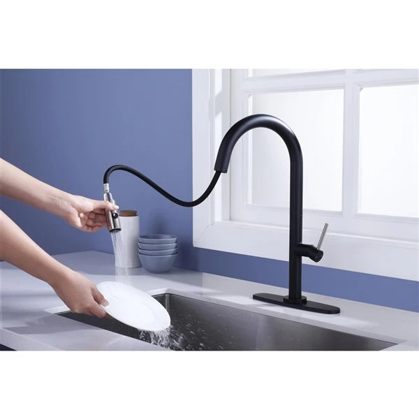 Westmount Waterworks Shane Black/Brushed Nickel 1-Handle Deck Mount Pull-Down Handle/Lever Kitchen Faucet With Deck Plate 2 Westmount Waterworks Shane Black/Brushed Nickel 1-Handle Deck Mount Pull-Down Handle/Lever Kitchen Faucet With Deck Plate - Image 2