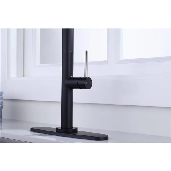 Westmount Waterworks Shane Black/Brushed Nickel 1-Handle Deck Mount Pull-Down Handle/Lever Kitchen Faucet With Deck Plate 1 Westmount Waterworks Shane Black/Brushed Nickel 1-Handle Deck Mount Pull-Down Handle/Lever Kitchen Faucet With Deck Plate