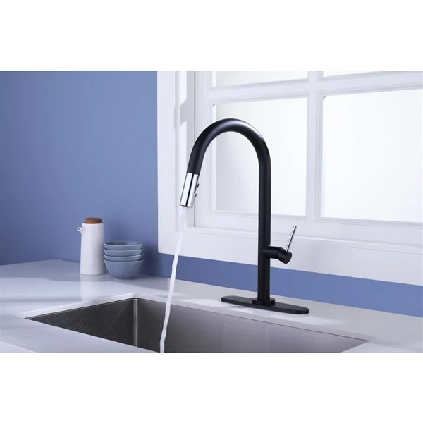 Westmount Waterworks Shane Black/Polished Chrome 1-Handle Deck Mount Pull-Down Handle/Lever Kitchen Faucet With Deck Plate 1 Westmount Waterworks Shane Black/Polished Chrome 1-Handle Deck Mount Pull-Down Handle/Lever Kitchen Faucet With Deck Plate