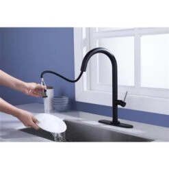 Westmount Waterworks Shane Black/Polished Chrome 1-Handle Deck Mount Pull-Down Handle/Lever Kitchen Faucet With Deck Plate 7 Westmount Waterworks Shane Black/Polished Chrome 1-Handle Deck Mount Pull-Down Handle/Lever Kitchen Faucet With Deck Plate -Alliedbas Shop 331042399 AlternateImage3 l