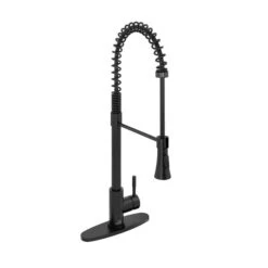 CASAINC Black 1-Handle Deck Mount High-Arc Kitchen Faucet With Deck Plate -Alliedbas Shop 331064408 MainImage 001 l