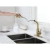 WELLFOR Sink Faucets Brushed Gold 1-handle Deck Mount Pull-out Handle/lever Residential Kitchen Faucet (Deck Plate Included)