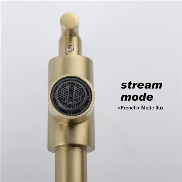 WELLFOR Sink Faucets Brushed Gold 2-handle Wall Mount Pot Filler Handle/lever Residential Kitchen Faucet 3 WELLFOR Sink Faucets Brushed Gold 2-handle Wall Mount Pot Filler Handle/lever Residential Kitchen Faucet - Image 3