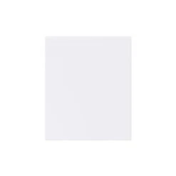 Hugo&Borg Lasalle 21 X 25 X 0.75-in Cabinet Door Front - White -Alliedbas Shop 332014393 AlternateImage1 l