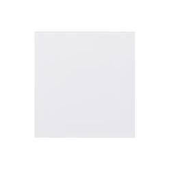 Hugo&Borg Lasalle 23.88 X 24.88 X 0.75-in Cabinet Door Front - White 8 Hugo&Borg Lasalle 23.88 X 24.88 X 0.75-in Cabinet Door Front - White -Alliedbas Shop 332014471 AlternateImage2 l