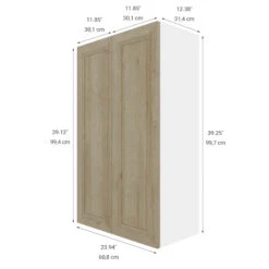 Eklipse Coral Collection Wall Cabinet 24-in X 39-in - Wood Grain