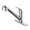Project Source Pull-Out Kitchen Faucet - Single-Lever - Chrome Finish