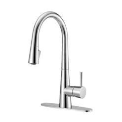 ALLEN + ROTH Project Source Pull-Out Kitchen Faucet - Single-Lever - Chrome Finish