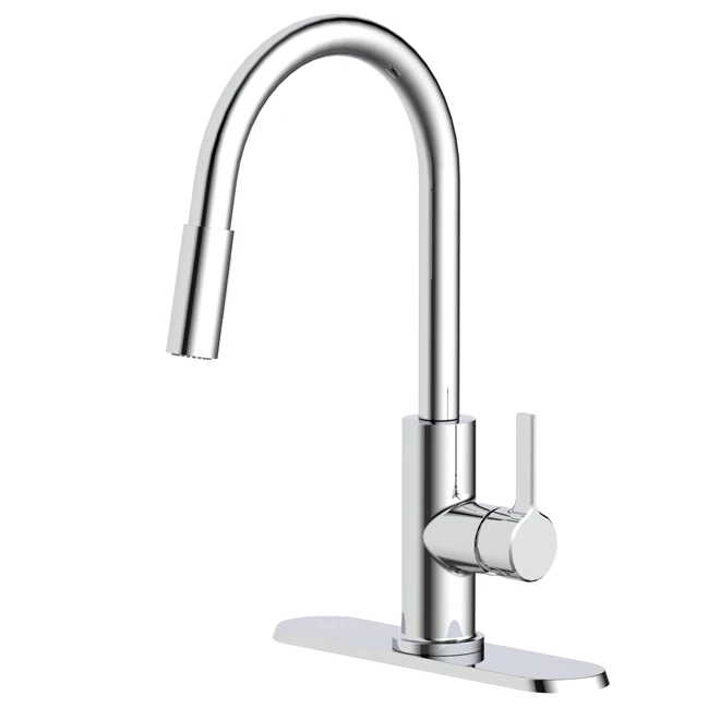 Allen + Roth Sophie Kitchen Faucet 1 Handle With Pull-Down Sink Spray Chrome Finish 1 Allen + Roth Sophie Kitchen Faucet 1 Handle With Pull-Down Sink Spray Chrome Finish